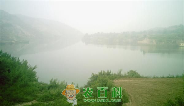 水库钓鲤鱼技巧