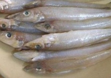 沙丁鱼做法大全