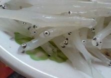 银鱼常见鳃病的防治