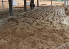 网箱章鱼养殖介绍