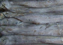 冻带鱼冰层太厚（甘肃兰州市民购回大呼上当）