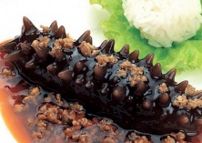 海参养殖防病技术要点