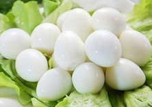 产蛋鸡的补充钙质注意事项