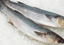 鲻鱼的功效与作用