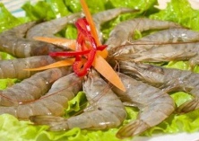 基围虾淡化养殖