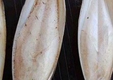 梭鱼航尾吸虫的防治