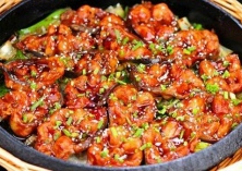 鲶鱼简介 鲶鱼简介