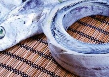 清凉油防治带鱼病有奇效