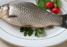 巴西鲷鱼病产生的原因