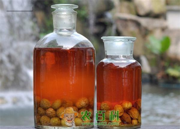 诏安青梅酒的做法