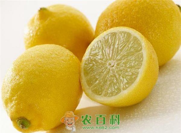 柠檬的涂膜保鲜法