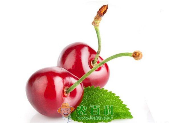 樱桃 炎炎夏日自制美味营养的樱桃果酱吧