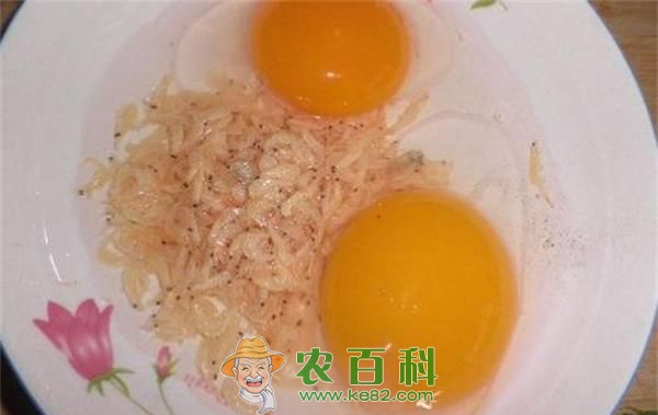 孕妇能吃鹅蛋吗