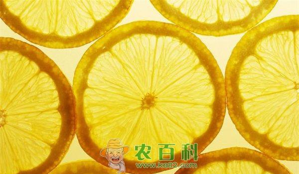 柠檬 柠檬片泡水喝的功效