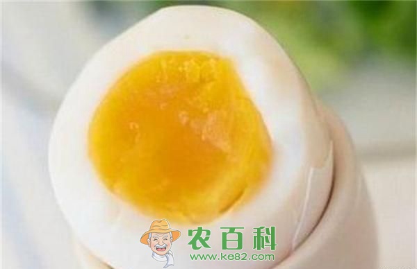 孕妇能吃鹅蛋吗