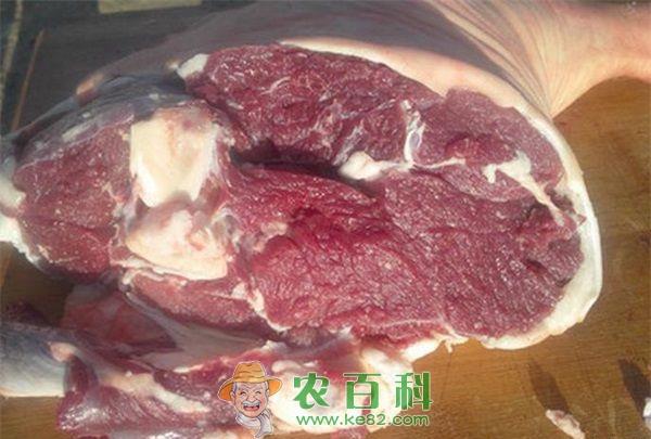 山羊 红烧山羊羊肉的制作方法怎么做好吃