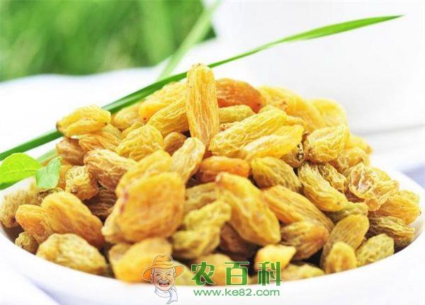 葡萄干热量 葡萄干热量有多高