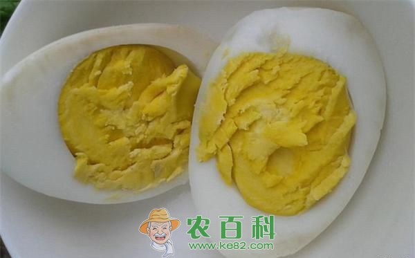 孕妇能吃鹅蛋吗