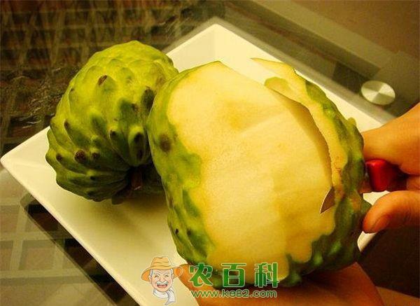番荔枝 番荔枝的建园种植