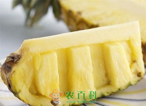 凤梨 凤梨的叶斑病怎么防治