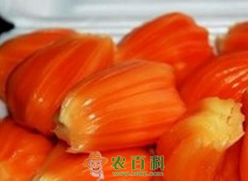 红肉菠萝蜜 菠萝蜜新品种红肉菠萝蜜