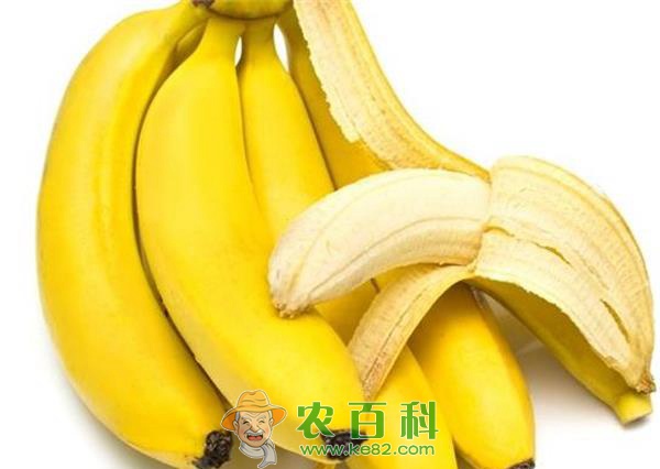 吃香蕉的十大功效 吃香蕉的十大功效