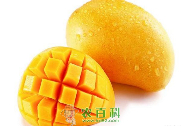 柠檬 阿根廷柠檬产量回升