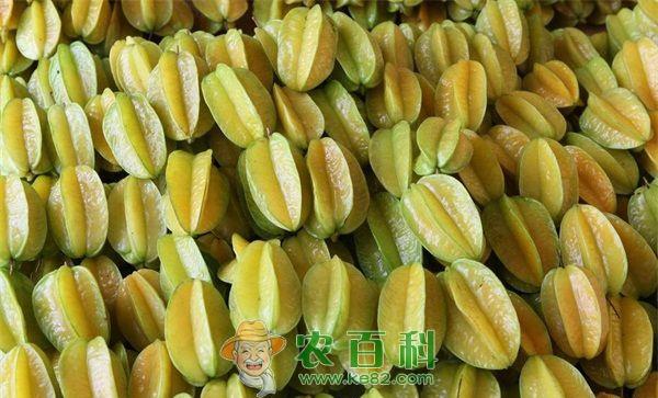 杨桃 甘草杨桃如何加工