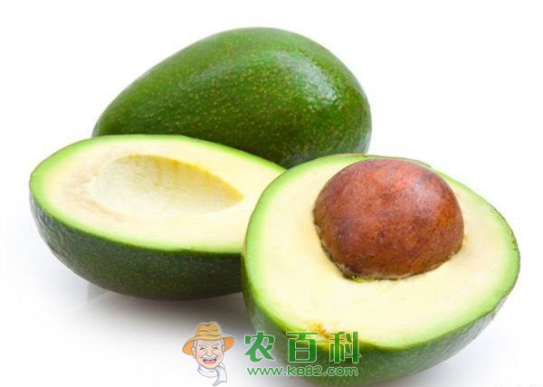 牛油果 牛油果的功效与作用介绍