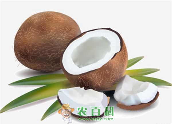 椰子怎么打开 椰子怎么打开
