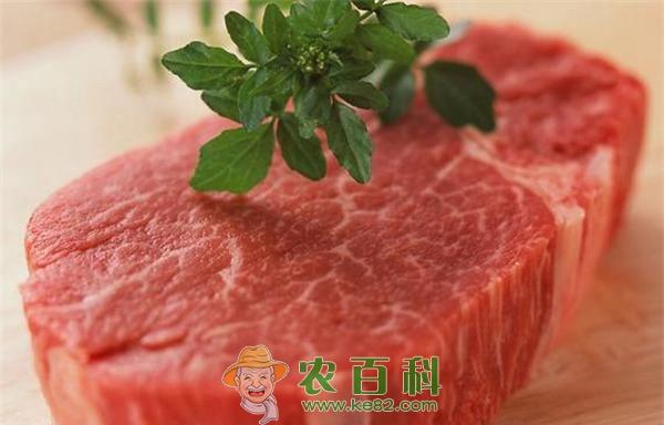孕妇能吃牛肉吗 孕妇能吃牛肉吗