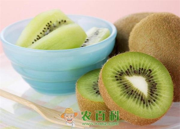 奇异果 陕西眉县奇异果销售前景看好