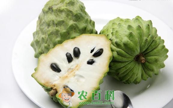 最强抗癌水果番荔