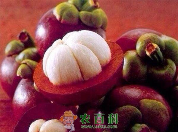 吃山竹的好处 土客网网 吃山竹的好处