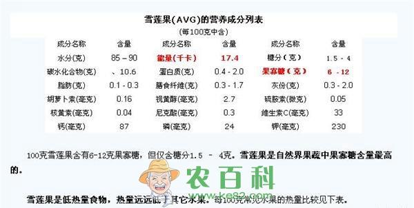 雪莲果的营养价值