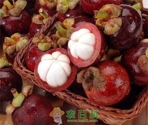 山竹市场新商机