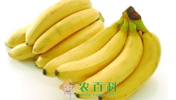 香蕉 香蕉那些鲜为人知的功效