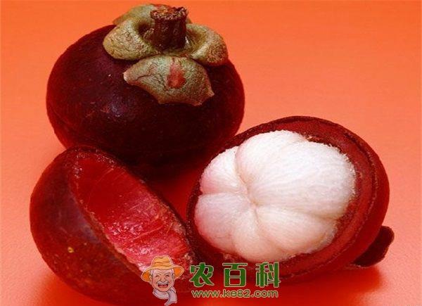 榴莲搭配山竹营养更丰富