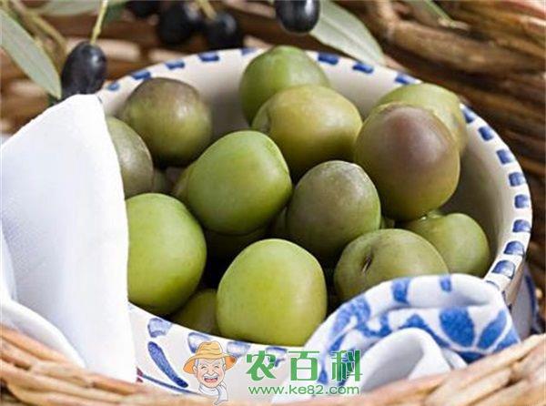 新鲜的橄榄要怎么保存，最长时间能放多久