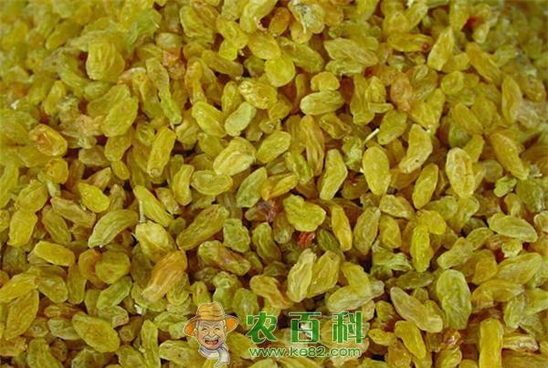 葡萄干是酸性还是碱性