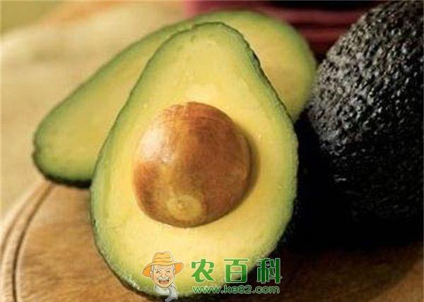 牛油果 秘鲁成为牛油果出口量最大的私营企业