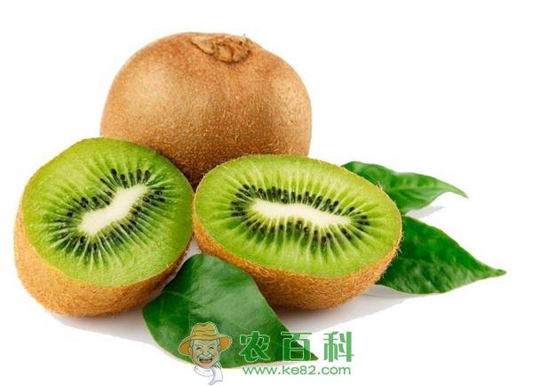 奇异果 眉县奇异果生产情况