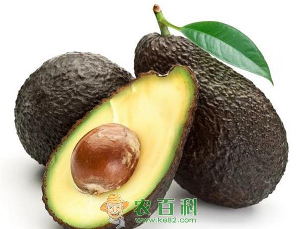 牛油果冰城日销六七吨