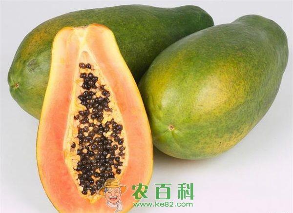 广西合山木瓜喜获丰收