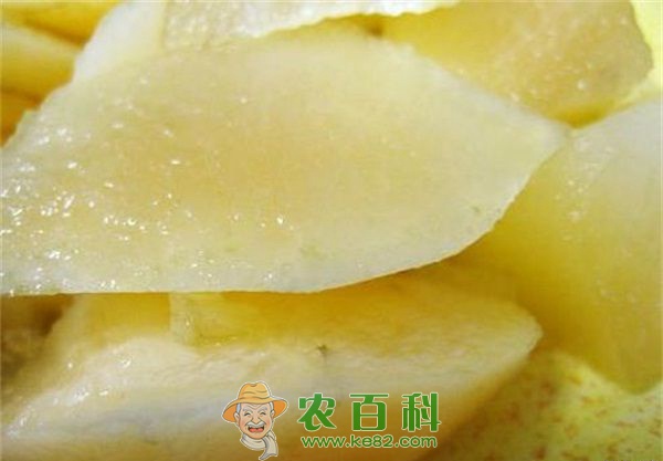 雪莲果地膜覆盖和育苗移栽技术