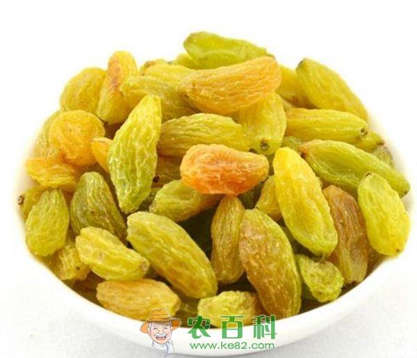 新疆葡萄干的加工