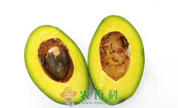 牛油果的食用禁忌