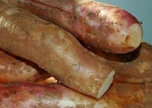 雪莲果对人体有什么作用