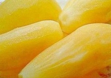 竹山县引种南美雪莲果