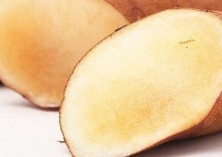 雪莲果种植的田间管理注意事项